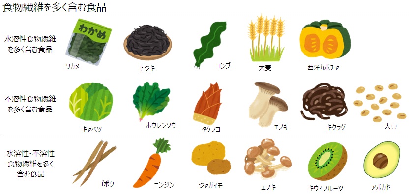 食物繊維はどのくらい?